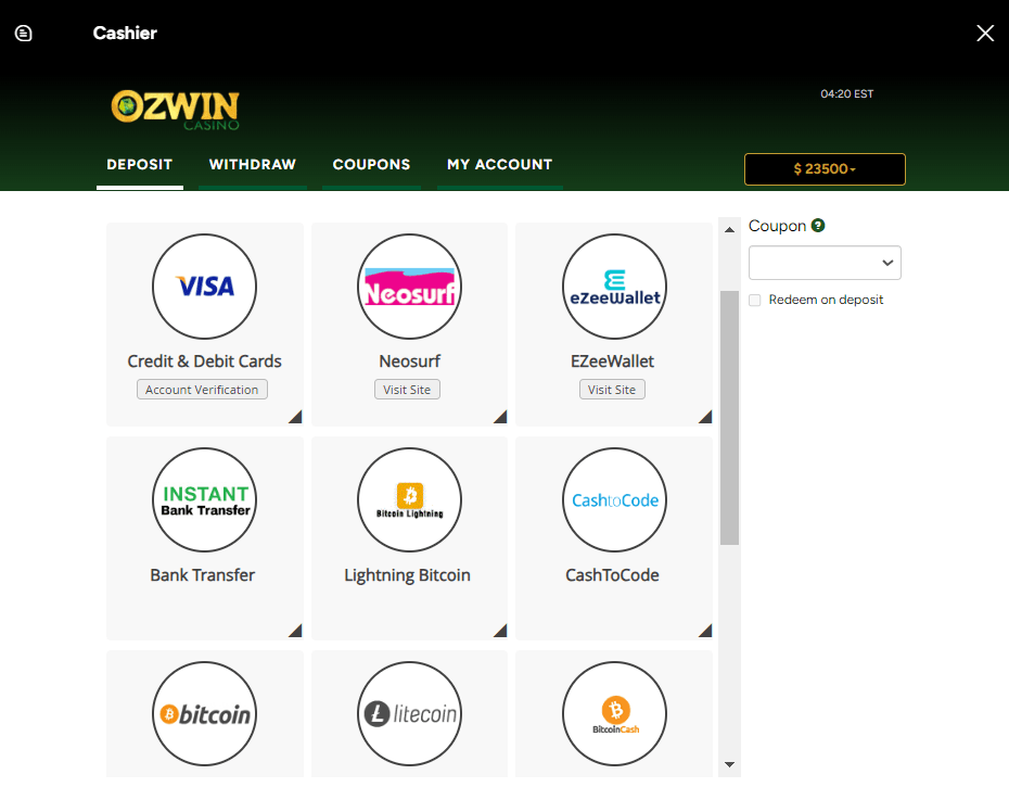 Ozwin Casino Deposit Options